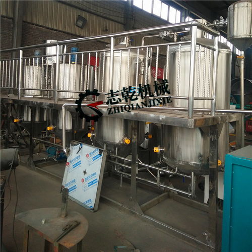 小型食用油精炼机 菜籽油花生油精炼机组 厂家直供